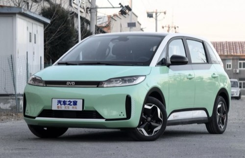 BYD D1
