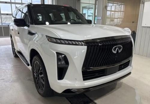 Infiniti QX 80 Autograph