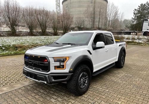 Ford F-150 Raptor Guard B6
