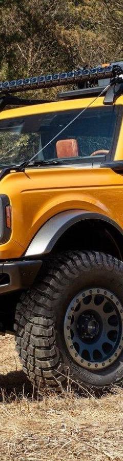 Ford Bronco — 1