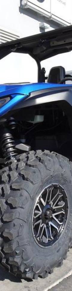 Yamaha Wolverine RMAX 1000 Limited Edition — 1