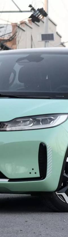 BYD D1 — 1