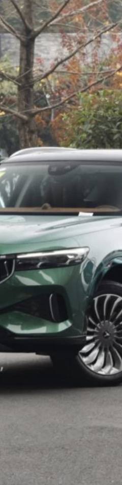 Voyah Free 4WD Exclusive Luxury — 1