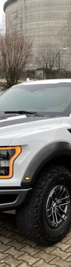 Ford F-150 Raptor Guard B6 — 1