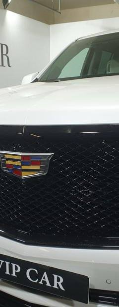 Cadillac Escalade Sport Platinum — 7