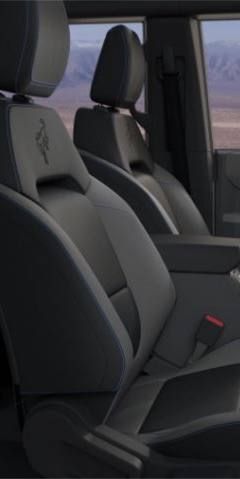 Ford Bronco Black Diamond — 6