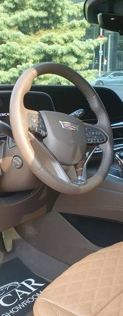 Cadillac Escalade ESV — 6