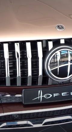 Mercedes-Benz GLE Coupe 53 AMG 4matic Hofele — 6