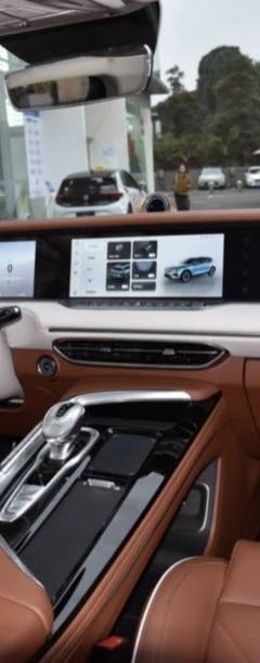 Voyah Free 4WD Exclusive Luxury — 6