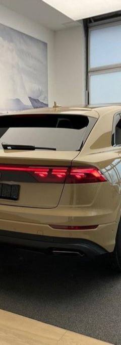 Audi Q8 50 TDI — 6