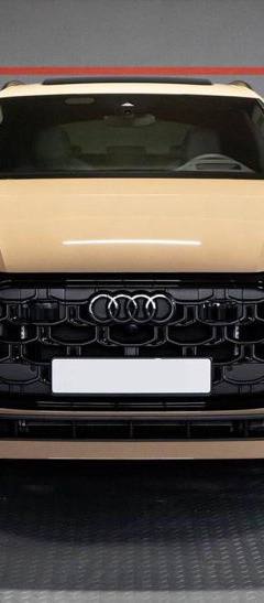 Audi SQ8 — 7