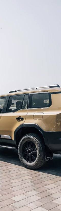 Toyota Land Cruiser Prado 250 — 3