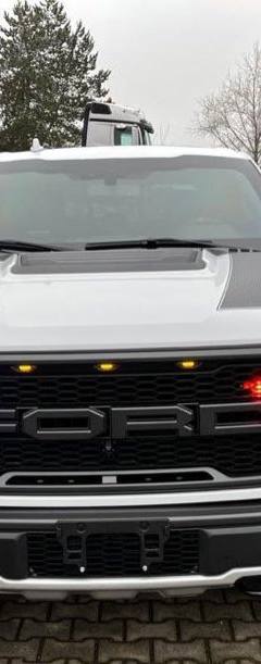 Ford F-150 Raptor Guard B6 — 2