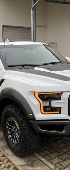 Ford F-150 Raptor Guard B6 — 3